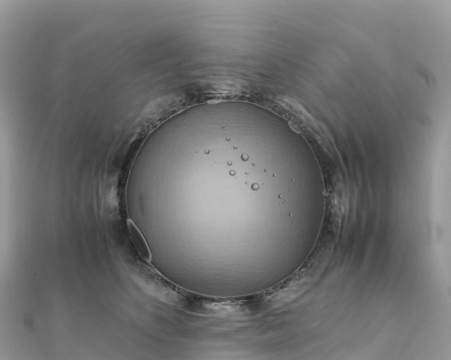 X0000111860516200907301134