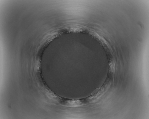 X0000111860517200907301134