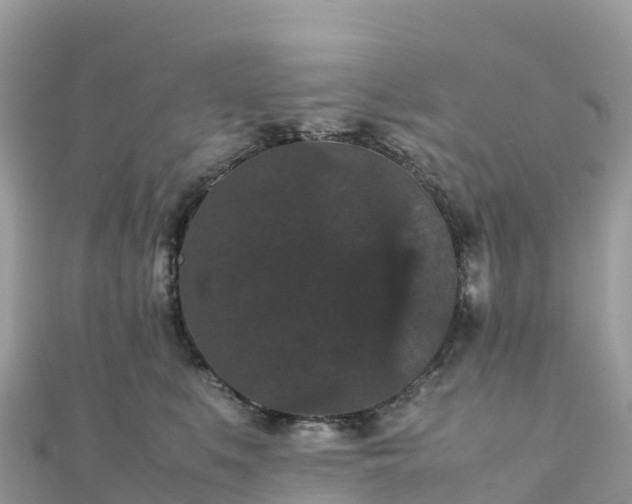 X0000111860519200907301134