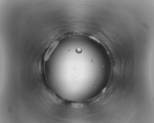 X0000111860520200907301134