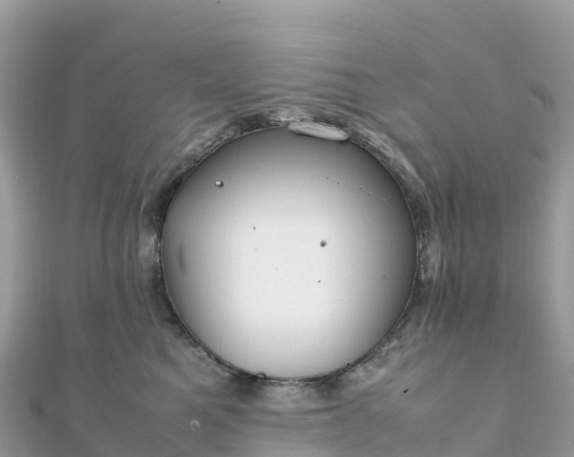 X0000111860521200907301134