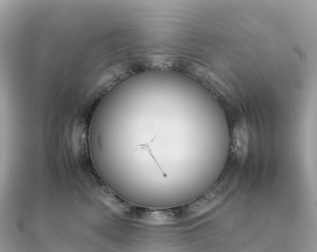 X0000111860522200907301134