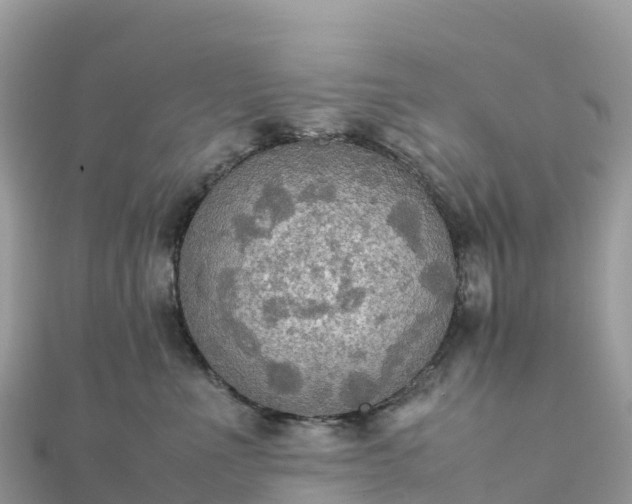 X0000111860523200907301134