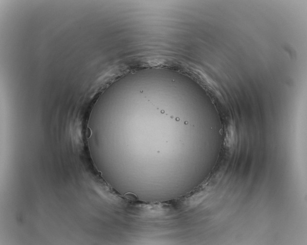 X0000111860524200907301134