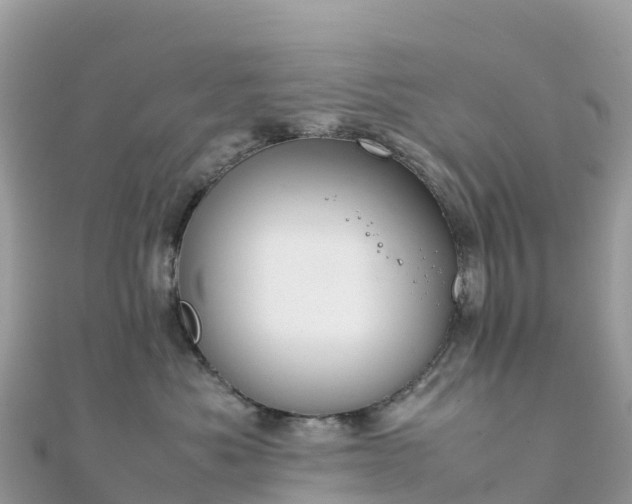 X0000111860525200907301134