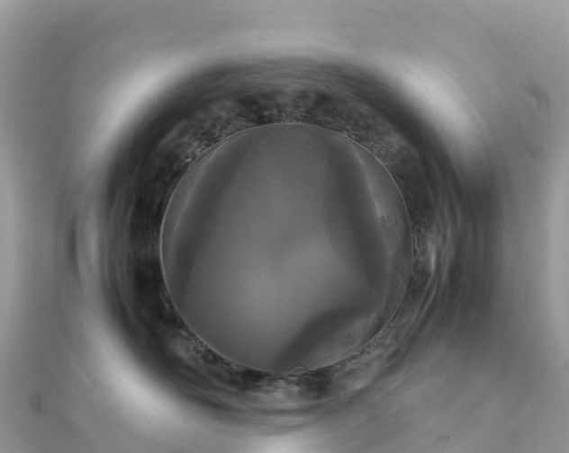 X0000111860526200907301134