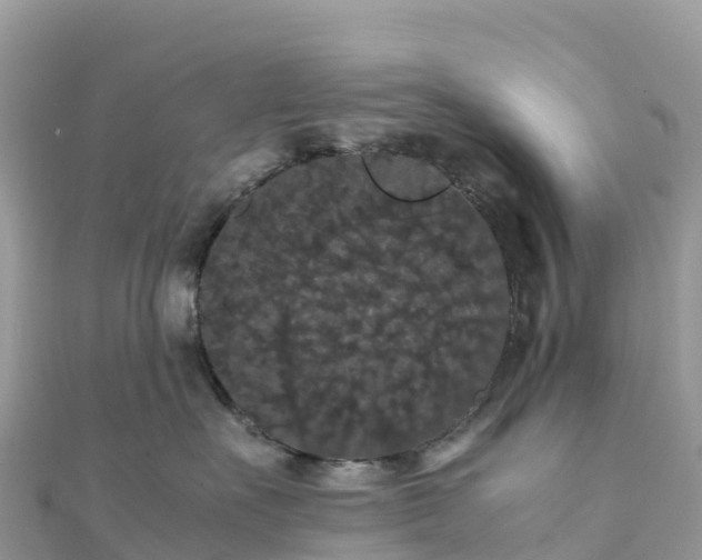 X0000111860527200907301134