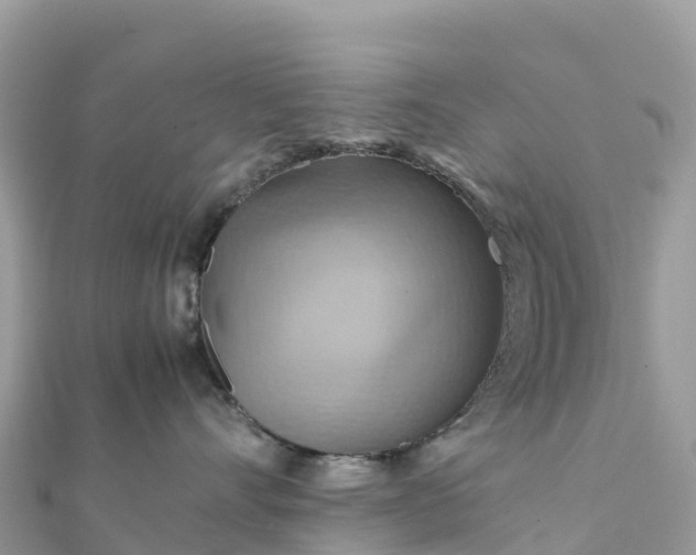 X0000111860528200907301134