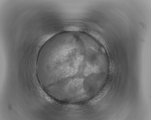 X0000111860529200907301133