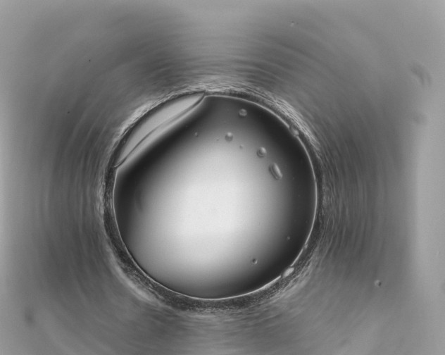 X0000111860530200907301133