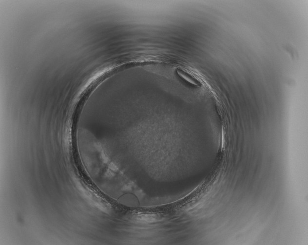 X0000111860531200907301133