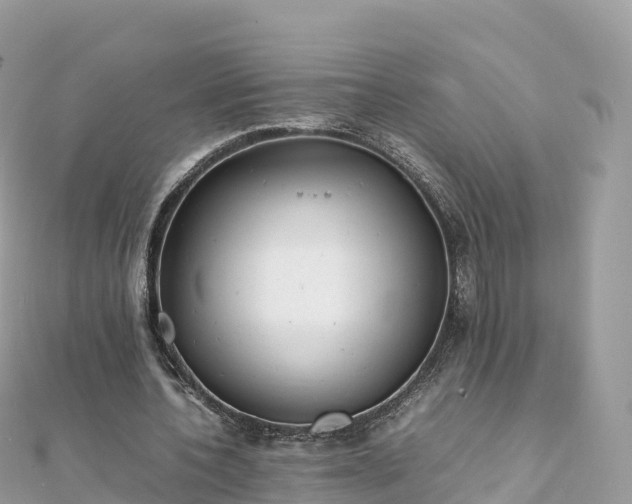 X0000111860532200907301133