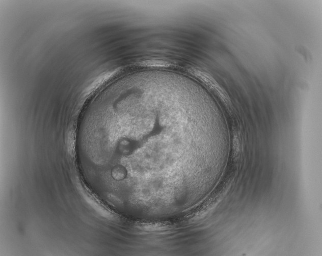 X0000111860533200907301133