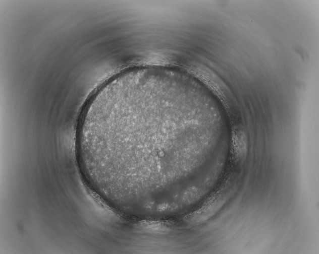 X0000111860534200907301133