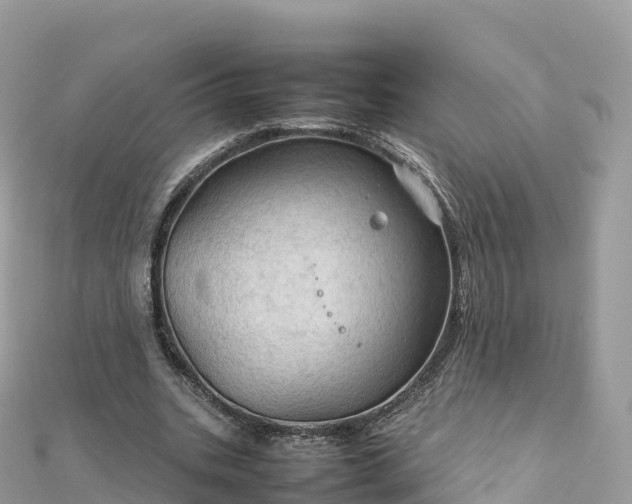 X0000111860535200907301134