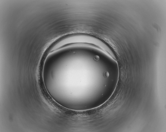 X0000111860536200907301134