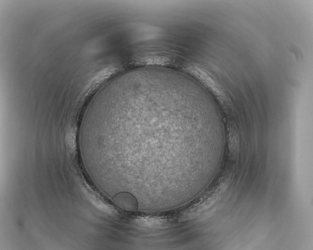 X0000111860537200907301134