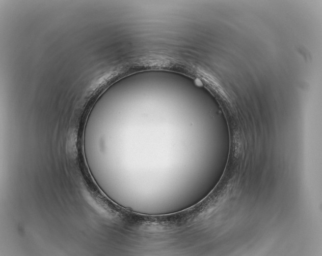 X0000111860538200907301134