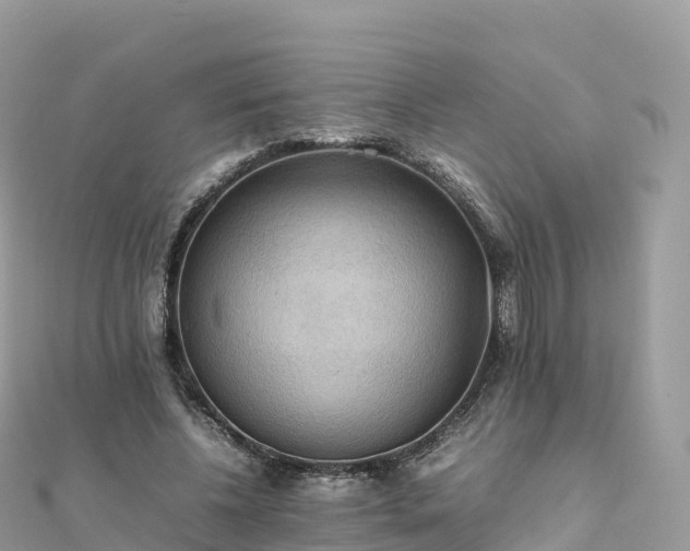 X0000111860540200907301134