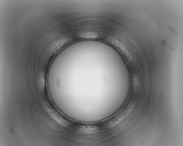 X0000111860541200907301134