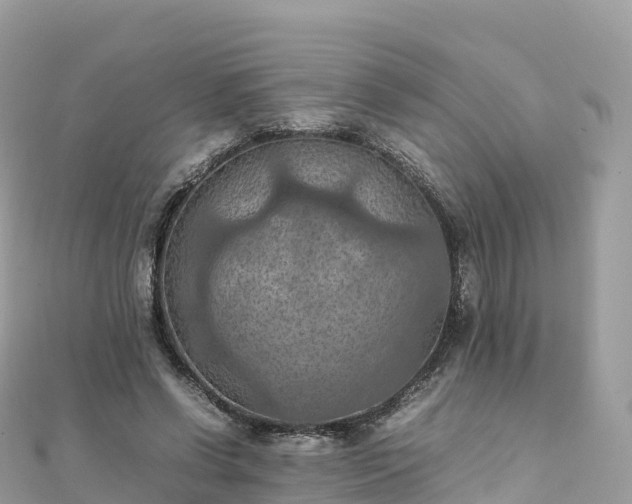 X0000111860542200907301134