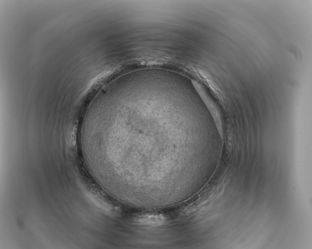 X0000111860543200907301134