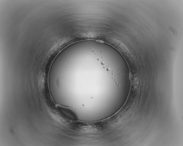 X0000111860544200907301134