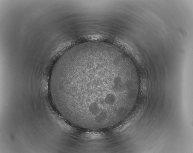 X0000111860545200907301134