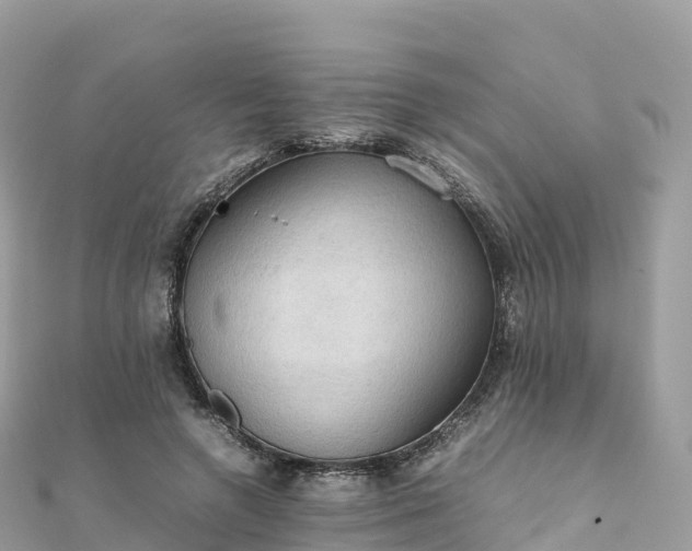 X0000111860546200907301134