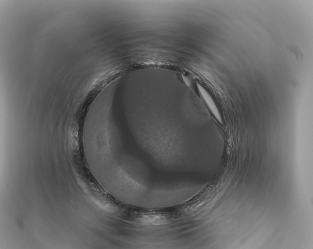 X0000111860547200907301134