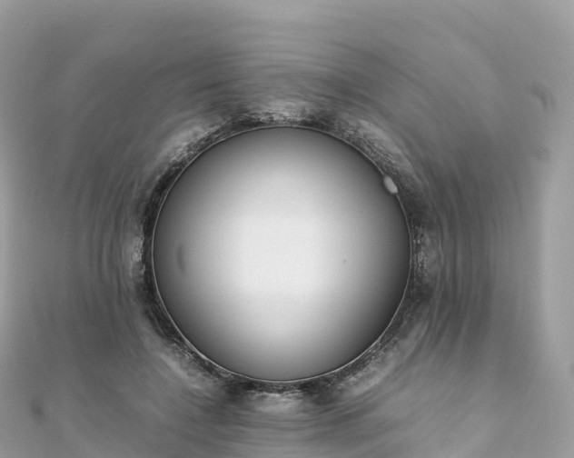 X0000111860548200907301134