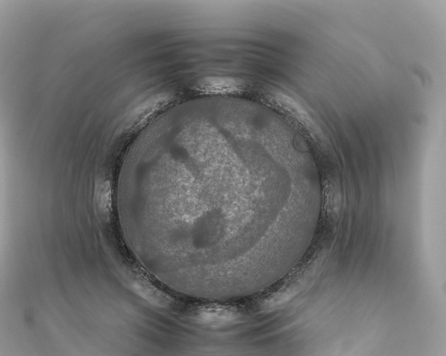 X0000111860549200907301134