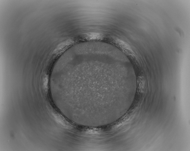 X0000111860550200907301134