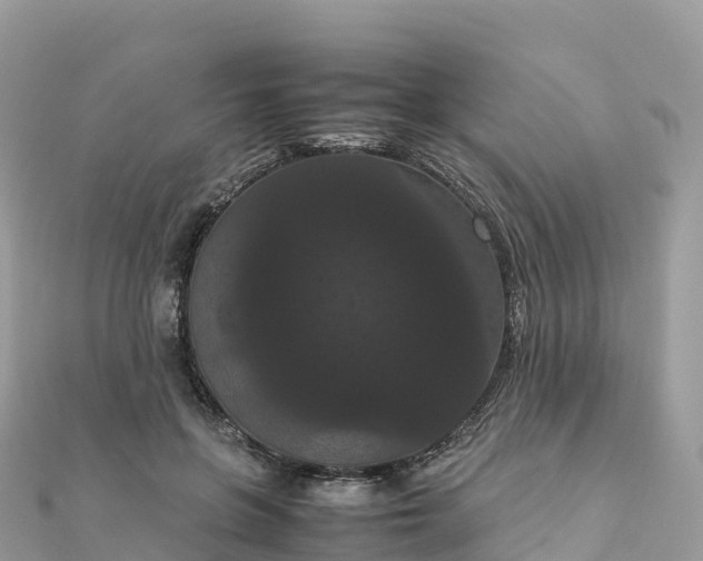 X0000111860551200907301134