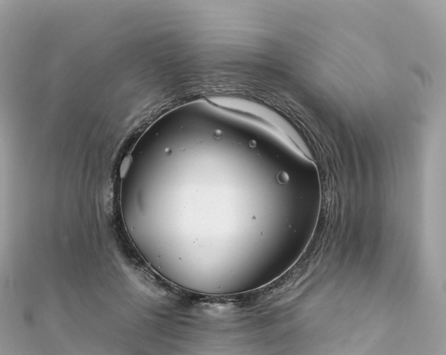 X0000111860552200907301134