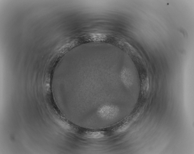 X0000111860553200907301134