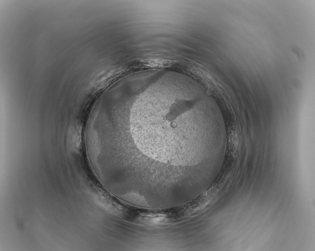 X0000111860554200907301134