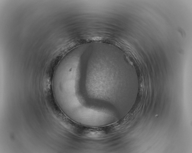 X0000111860555200907301134