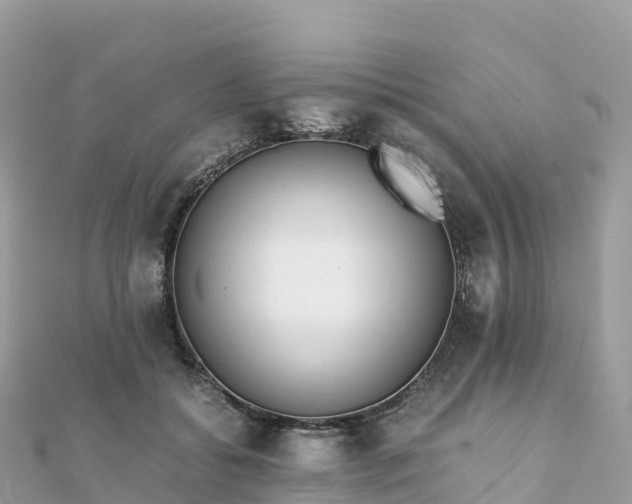 X0000111860556200907301134