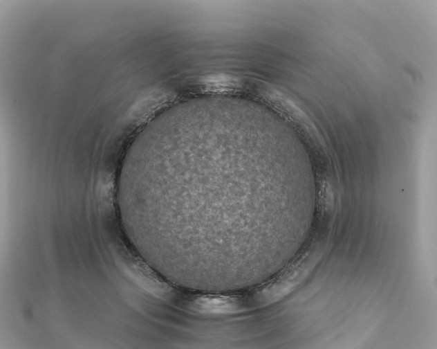 X0000111860557200907301134