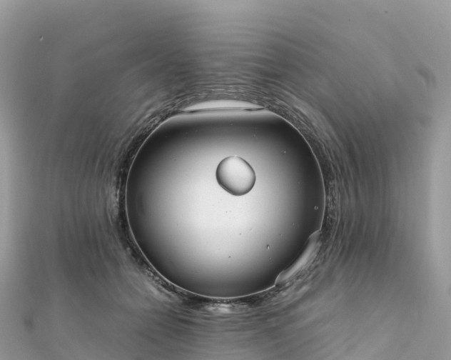 X0000111860558200907301134