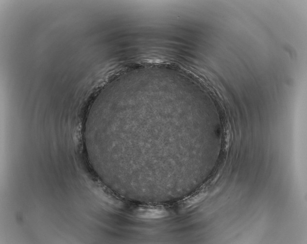 X0000111860559200907301134