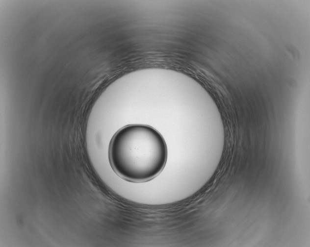 X0000111860560200907301134