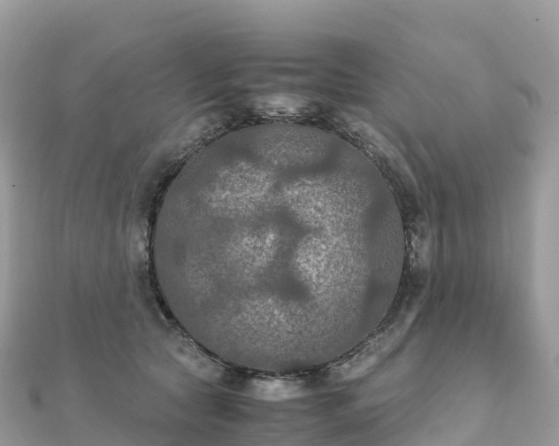 X0000111860561200907301134