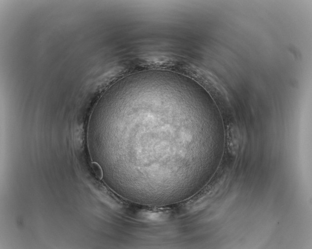 X0000111860563200907301134