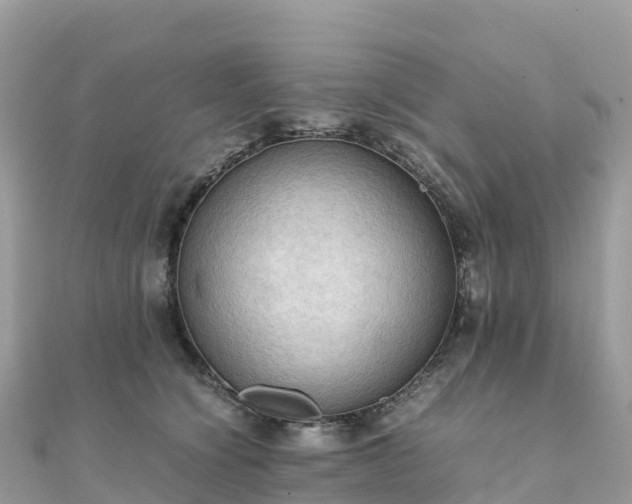 X0000111860564200907301134