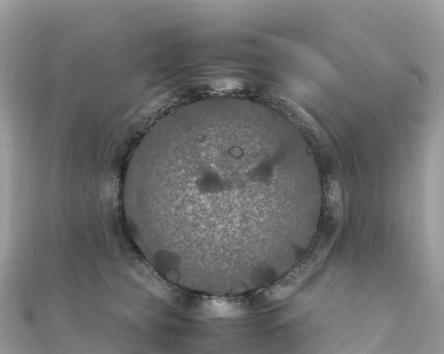 X0000111860565200907301134