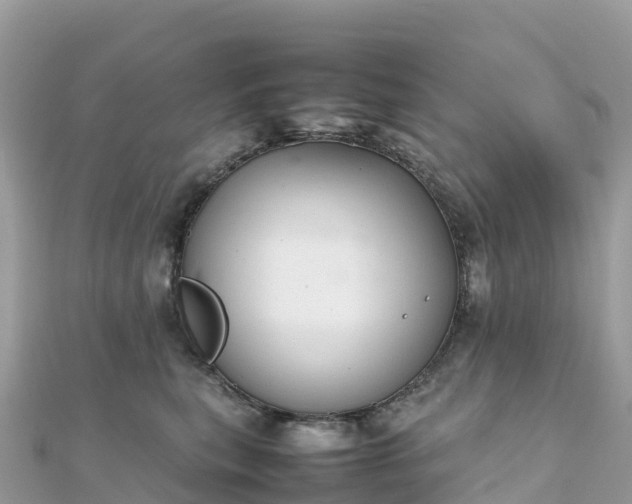 X0000111860567200907301134