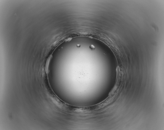 X0000111860568200907301134