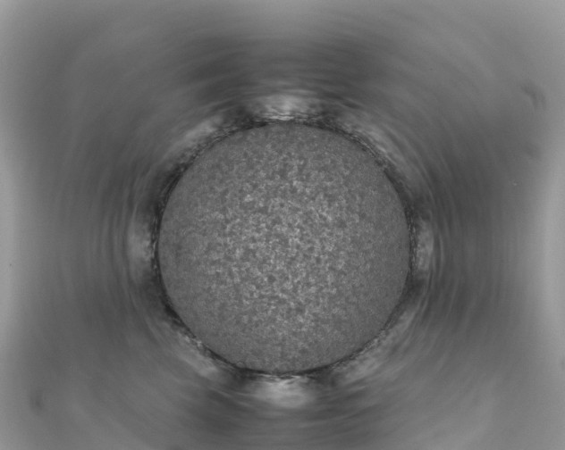 X0000111860569200907301134